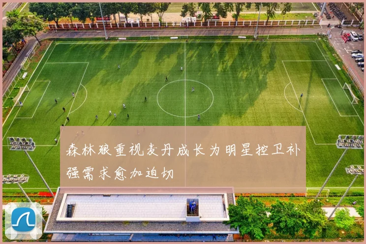 森林狼重视麦丹成长为明星控卫补强需求愈加迫切